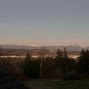 Meet your Posher, Ella